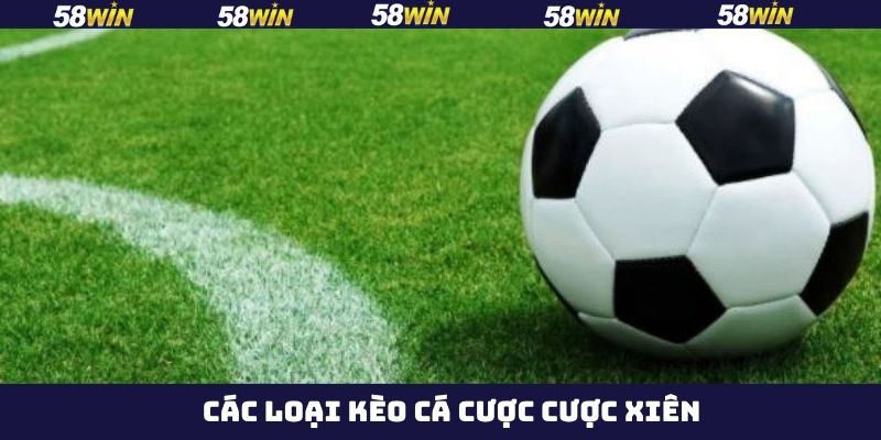 Cược Xiên - Chia Sẻ Tips Vào Tiền Luôn Thắng Từ 58Win 3 Lựa chọn xuống tiền ngay trong cược xiên 3