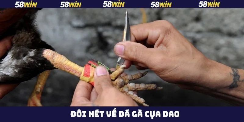 Đá Gà Cựa Dao - Đấu Trường Của Các Chiến Kê Máu Lửa Tại 58Win 2 Khái quát về đá gà cựa dao tại 58Win