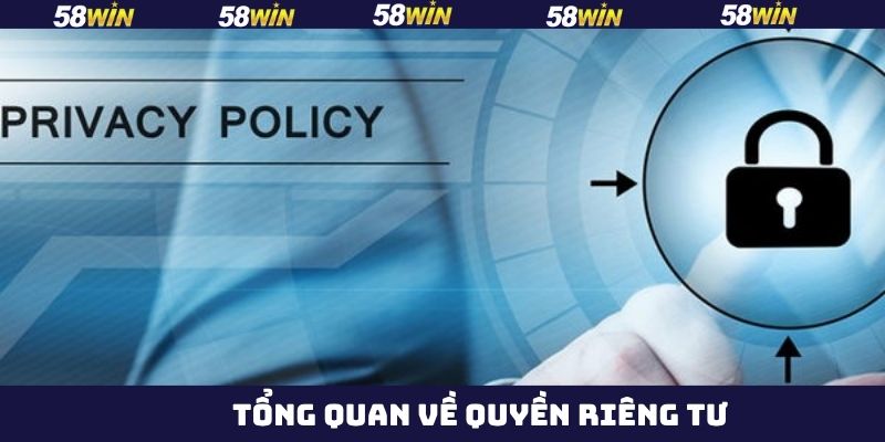 Quyền Riêng Tư - Cam Kết Bảo Mật Thông Tin Hội Viên 58Win 1 Thông tin về chính sách riêng tư của hội viên